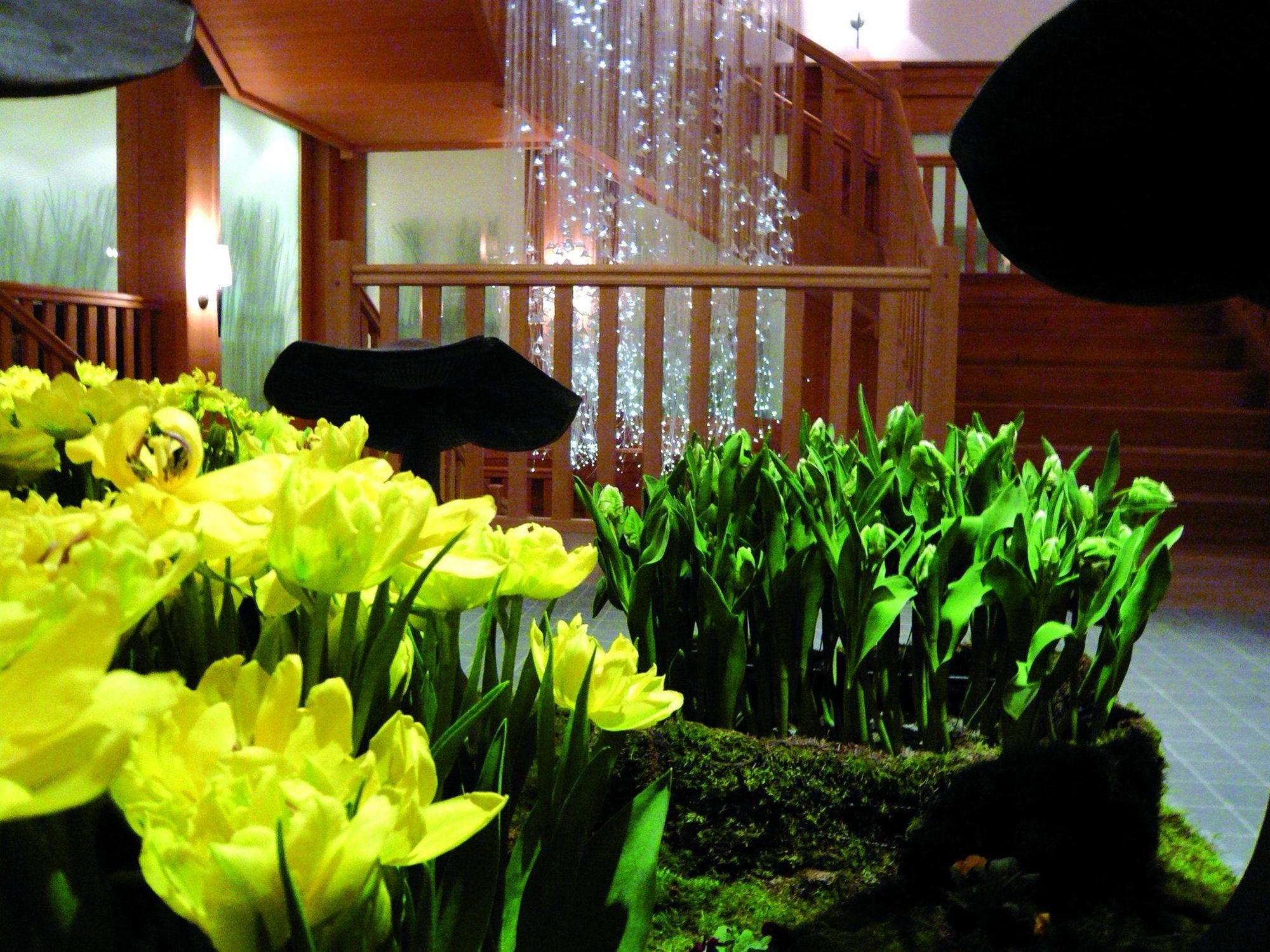 Chalet Royalp Hotel & Spa วิลลาร์-ซูร์-โอลง ภายใน รูปภาพ
